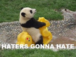 haters-gonna-hate-panda-meme